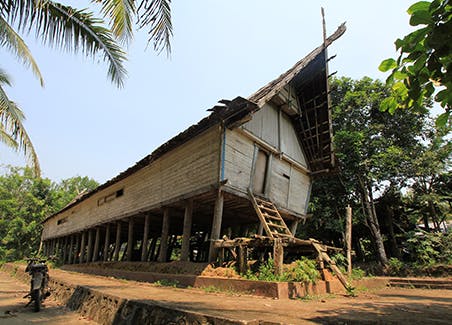 Orangutan Jungle Trekking - Dayak Tour