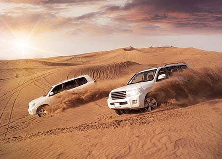 Dune Safari with BBQ Dinner